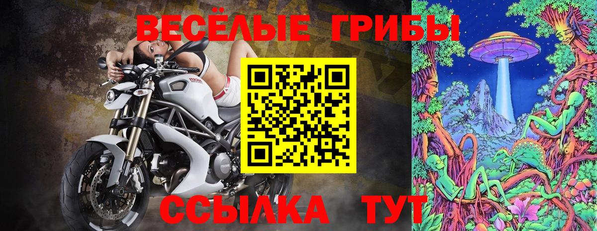 Армавир  Псилоцибиновые грибы ЛСД  Вход с VPN 
